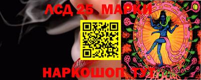 гидропоника Добрянка