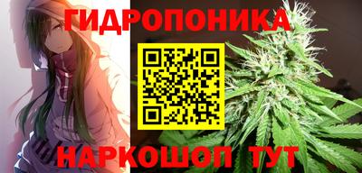 гидропоника Добрянка