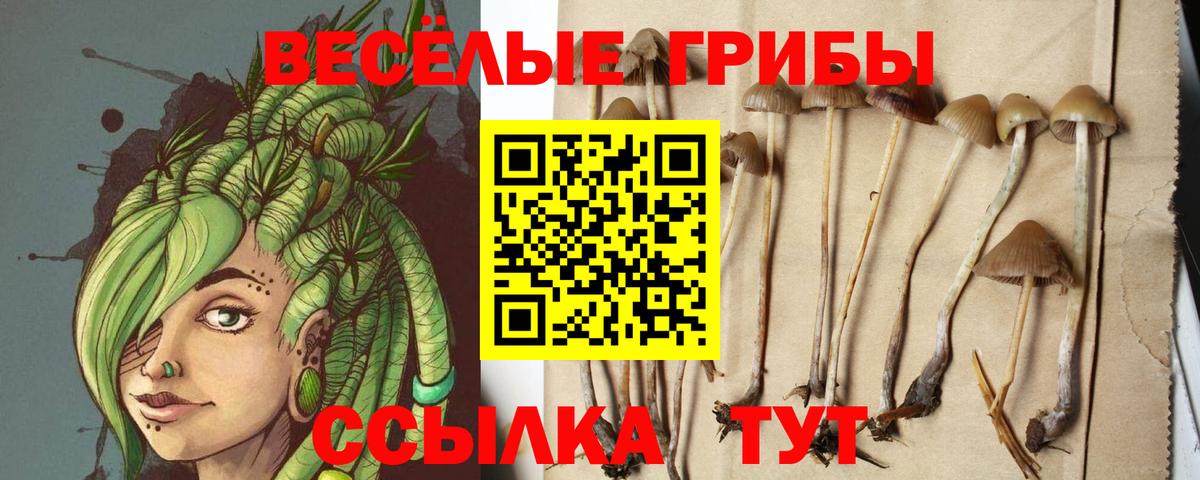  COCAIN Долгопрудный